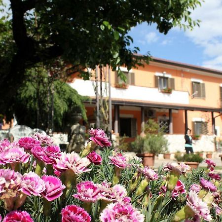 B&B Casale Shanti Piedimonte San Germano Екстер'єр фото